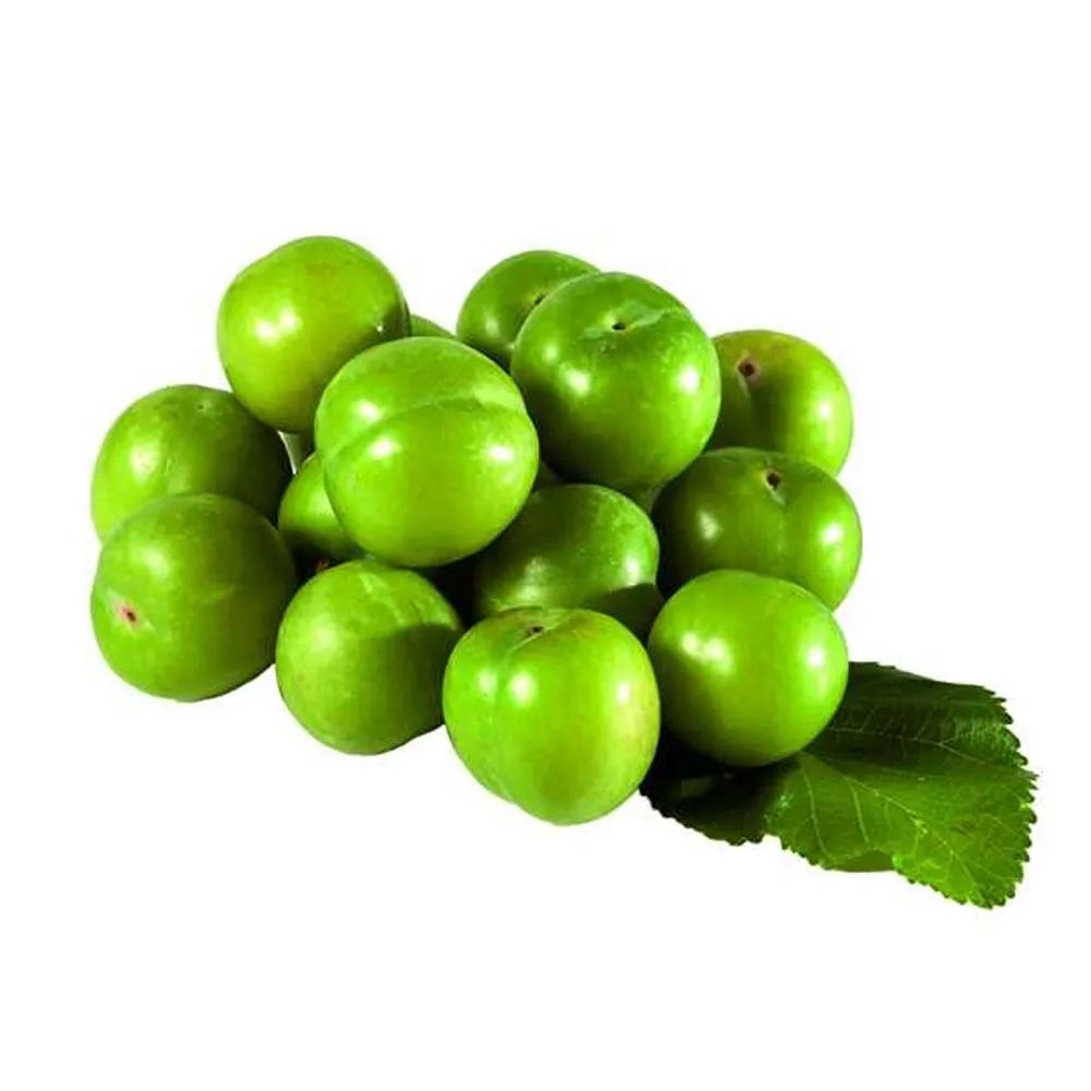 PAPAZ ERİK