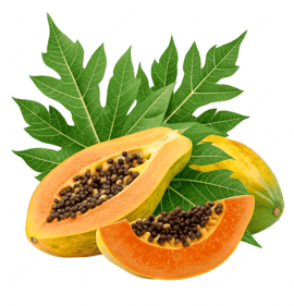 PAPAYA AĞAÇ KAVUNU